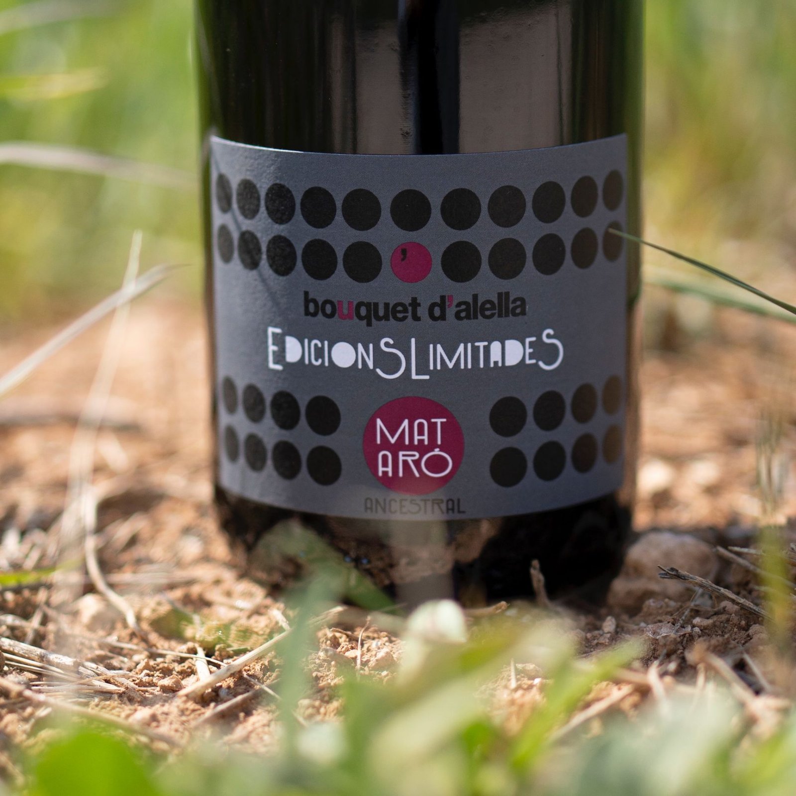 Ancestral wine of the Mataró indigenous variety